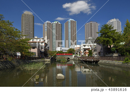 東京都中央区 【秋】 佃島公園と佃堀 東京都中央区 【秋】 佃島公園と佃堀 43891616