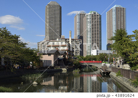 東京都中央区 【秋】 佃島公園と佃堀 43891624