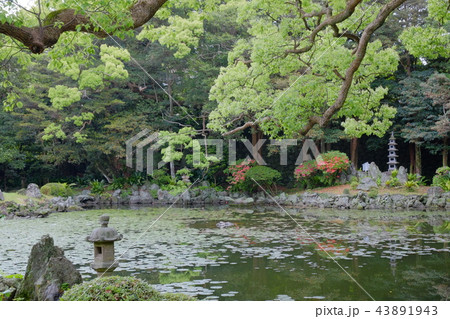 福江島・石田城五島氏庭園2017その６ 43891943