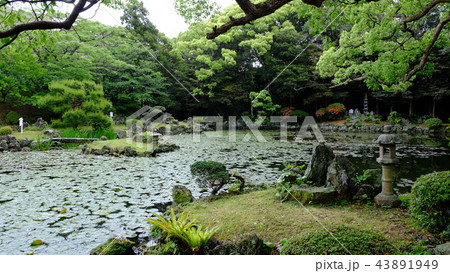 福江島・石田城五島氏庭園2017その12 福江島・石田城五島氏庭園2017その12 43891949
