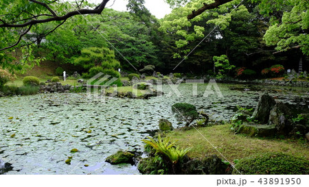 福江島・石田城五島氏庭園2017その13 福江島・石田城五島氏庭園2017その13 43891950