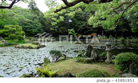 福江島・石田城五島氏庭園2017その14 福江島・石田城五島氏庭園2017その14 43891951