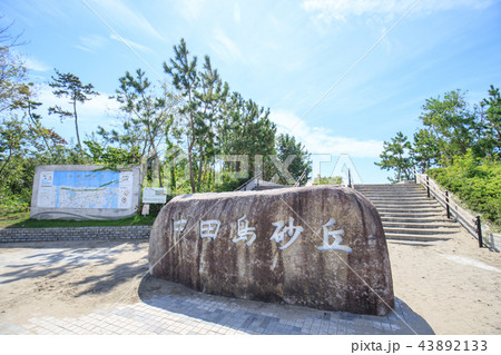 中田島砂丘 43892133