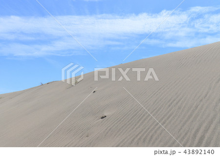 中田島砂丘 43892140