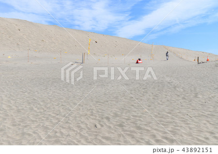 中田島砂丘 中田島砂丘 43892151