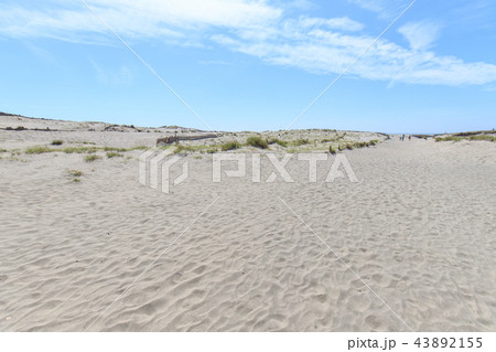 中田島砂丘 中田島砂丘 43892155