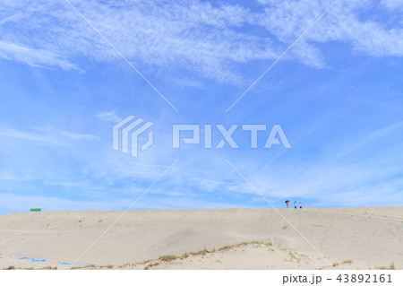 中田島砂丘 43892161