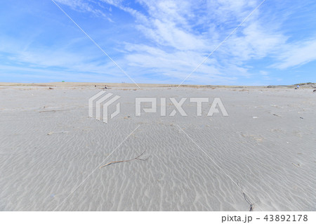 中田島砂丘 43892178