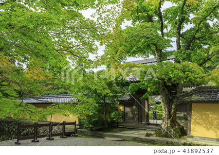 西明寺 西明寺 43892537