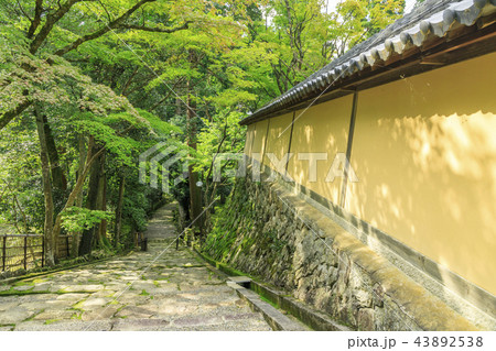 西明寺 西明寺 43892538