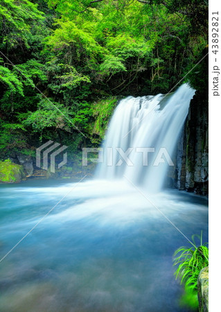 初景滝 初景滝 43892821