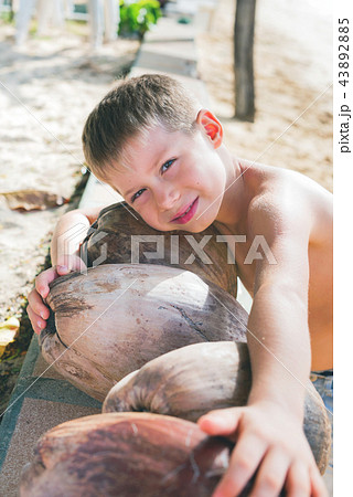 Natural food of Thailand coconut fallen palm Natural food of Thailand coconut fallen palm 43892885
