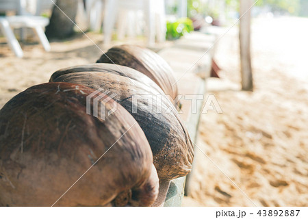 Natural food of Thailand coconut fallen palm Natural food of Thailand coconut fallen palm 43892887