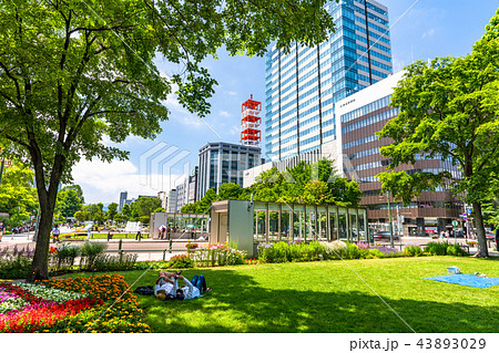 《北海道》夏の札幌大通公園 《北海道》夏の札幌大通公園 43893029