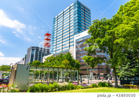 《北海道》夏の札幌大通公園 《北海道》夏の札幌大通公園 43893030