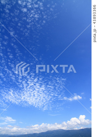 秋の空 高積雲 秋の空 高積雲 43893366
