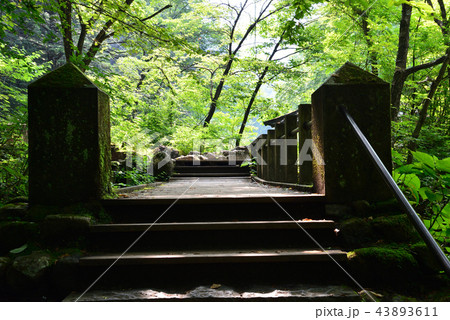 憾満ケ淵へ行きました　　＃17 43893611