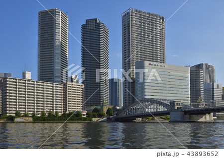 東京都中央区墨田川 【勝どき橋】 ビル群 43893652