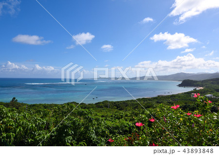 八重山の海 八重山の海 43893848