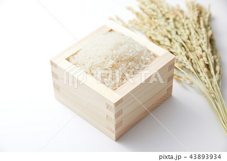 米 稲穂 米 稲穂 43893934