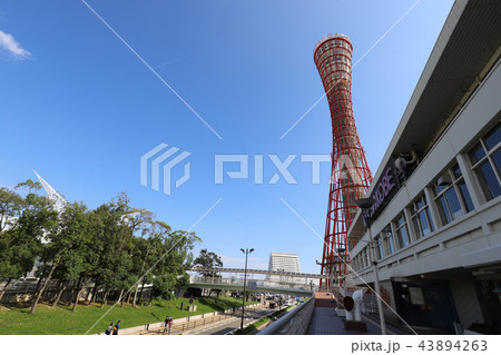 遊歩道　神戸　ポートタワー 43894263