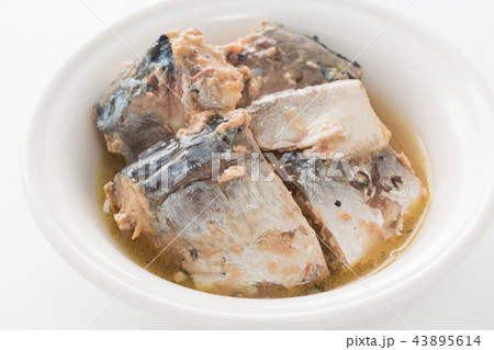 鯖の水煮 鯖の水煮 43895614