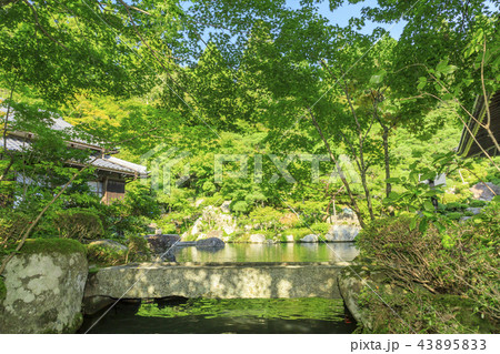百済寺 43895833