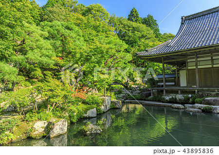 百済寺 百済寺 43895836