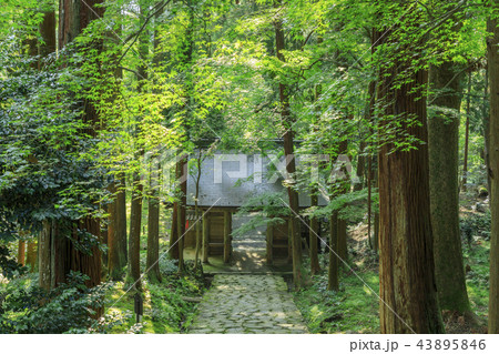 百済寺 百済寺 43895846