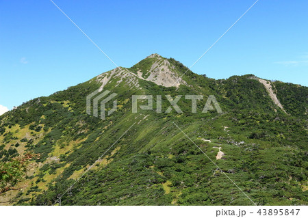 南アルプス光岳（てかりだけ）への道　縦走路から見る南アルプス南部の山々 茶臼岳 43895847