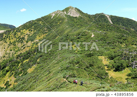 南アルプス光岳（てかりだけ）への道　縦走路から見る南アルプス南部の山々 茶臼岳 43895856