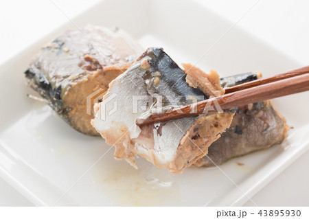 鯖の水煮 43895930