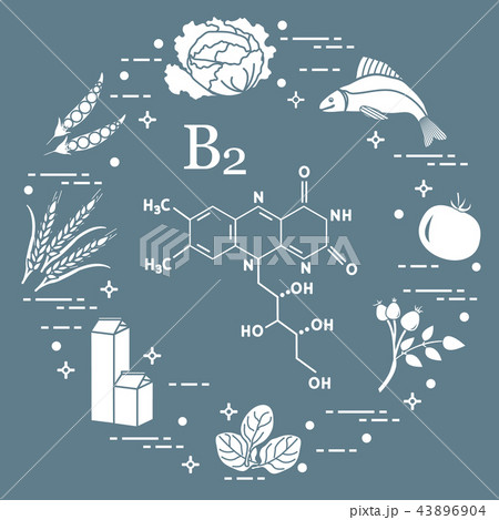 Foods rich in vitamin B2 Fish, peas and other. Foods rich in vitamin B2 Fish, peas and other. 43896904