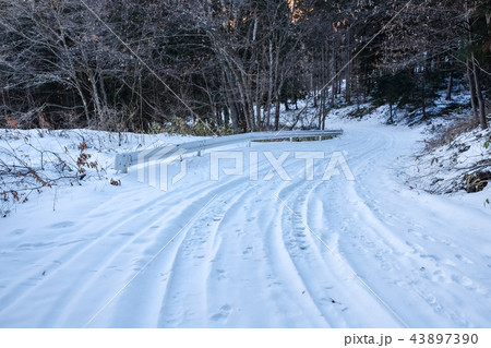雪道 雪道 43897390