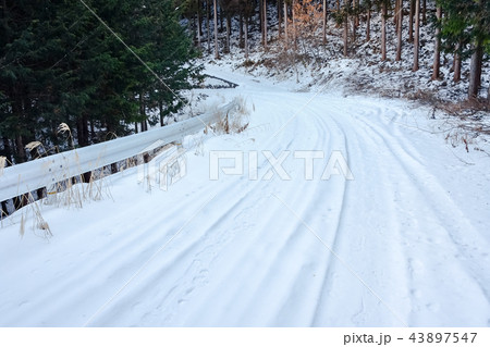 雪道 43897547