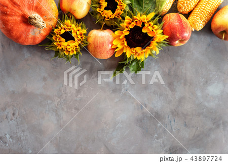 A rustic autumn still life with pumpkin, apples and corn cobs A rustic autumn still life with pumpkin, apples and corn cobs 43897724