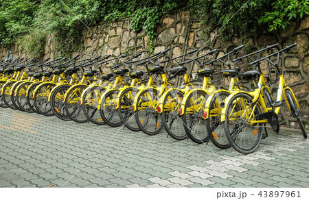 OFO sharing bicycles parked at the bicycle sharing 43897961