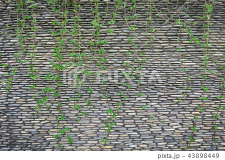 Stone wall background Decorated with trees 43898449