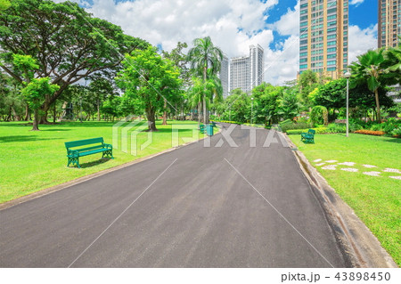 Chatuchak Park, Public Park in Bangkok Thailand 43898450