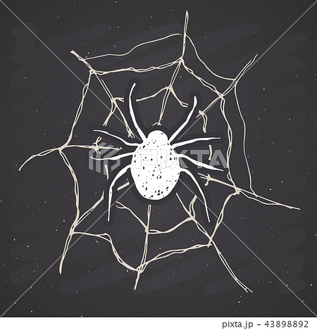 Spider and web vintage label, Hand drawn vector  43898892
