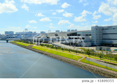 豊洲市場 43899355