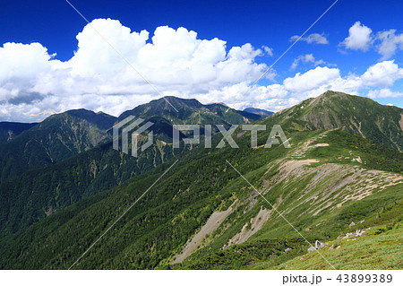 南アルプス光岳（てかりだけ）への道　縦走路から見る南アルプス南部の山々上河内岳、聖岳、兎岳 43899389