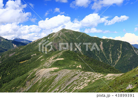 南アルプス光岳（てかりだけ）への道　縦走路から見る南アルプス南部の山々上河内岳 43899391