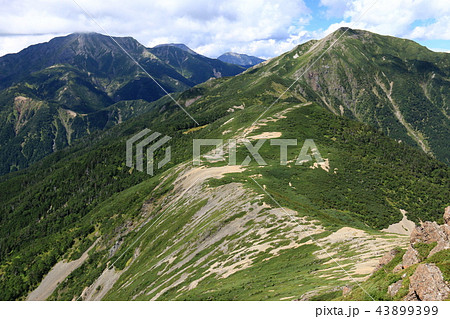 南アルプス光岳（てかりだけ）への道　縦走路から見える南アルプス南部の山々 上河内岳と聖岳 43899399