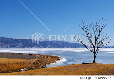 【長野県】御神渡り発生時 全面結氷した諏訪湖 【長野県】御神渡り発生時 全面結氷した諏訪湖 43899517