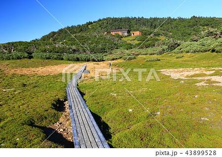 南アルプス光岳（てかりだけ）への道　センジヶ原から望む光岳小屋 43899528