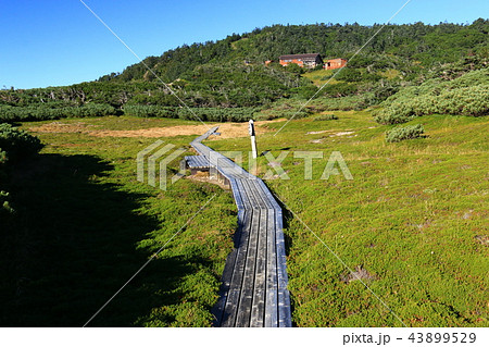 南アルプス光岳（てかりだけ）への道　縦走路から見る南アルプス南部の山々 43899529