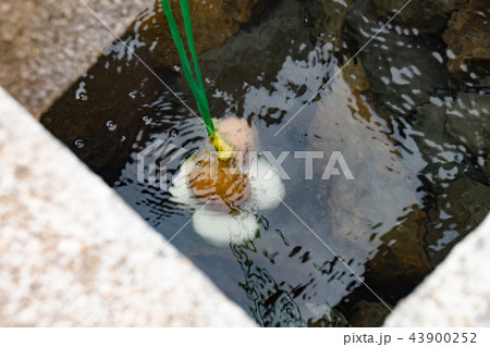湯村温泉で温泉卵 43900252