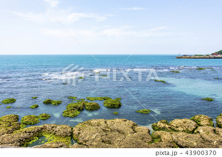 台湾 大空 海 43900370