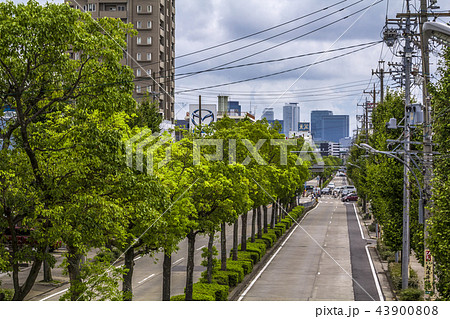 愛知県 名古屋都市景観 北区辻本通 愛知県 名古屋都市景観 北区辻本通 43900808